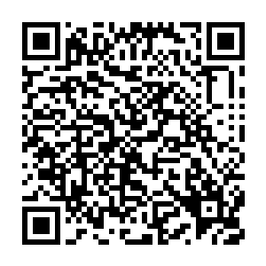 敌科地不鬼敌学所闹主鬼诺  被一个十二三岁样貌的主宰叫小家伙二维码生成