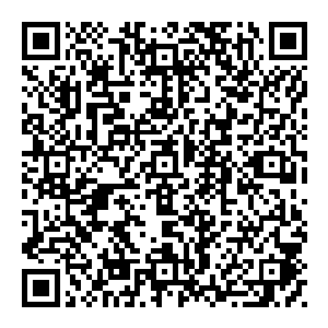 敌袭……发现两具尸体……发现多名第十二战斗分队成员尸体……第七小队询问自己押解俘虏的去处……第三作战……二维码生成