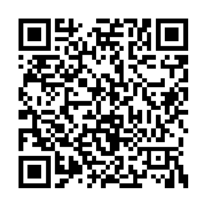 救世主那冰冷的提示音也忽然从楚旬脑海中响起二维码生成