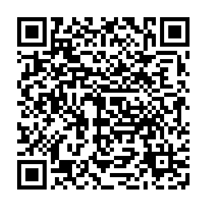 救救我高伯伯吧……伯伯不让我求人……可我不想让伯伯死……求求你……二维码生成