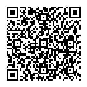 救活妹妹支撑活到现在信念支柱这一刻支柱好似突然崩塌了般整个人瞬间便失去了神彩二维码生成