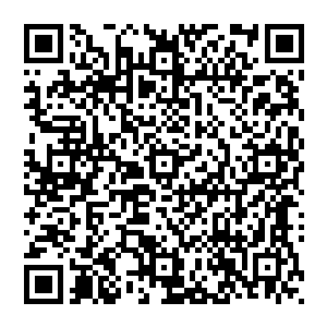 敖无暇已经兴致勃勃的拿着白褚仙人当时分发给仙人们储备着白鹭仙人的气息的珠子找到了对应的那个仙人二维码生成