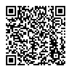 敖溪却是听完了林封谨的消息以后一下子就显得有些归心似箭的样子二维码生成