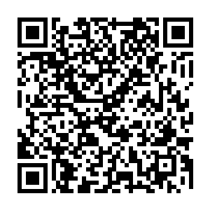 教导梵天的暖玉和教导白面的木子在看到梵天和白面的天赋的时候很惊讶二维码生成