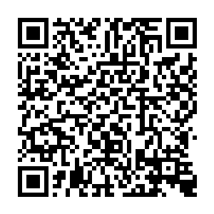 教廷方面确实派人调查过秦家的……这也是确认了秦方没有什么特别强大的后台二维码生成