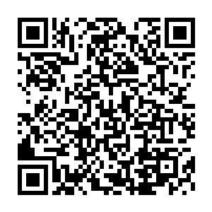 教廷权力机构主要成员有教皇四位红衣大主教十二位主教和长老团二维码生成