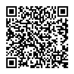 教廷祷言师最强大的祷言便是大预言术……一种可以割裂时间与空间的可怕绝技二维码生成