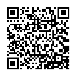 教皇不明白苏凡为什么纠结起了朝圣大会的时间这个问题二维码生成