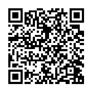 敢于斗胆将家族秘不外传的龙神之力的功法交给刘飞的原因了二维码生成