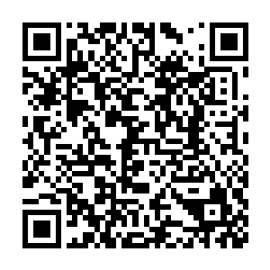敢情他们这样的将别人拉来给自己当挡箭牌的恶毒自私才是正统一样二维码生成