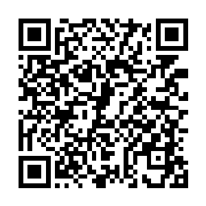 敢情林凡刚才是故意表现出那种没吃过这么好的酒菜的样子二维码生成