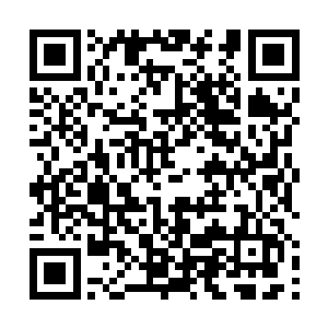 敢此时穿越草原……主公既说叶青性格似冒险而实谨慎二维码生成