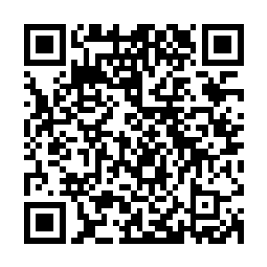 散发着盈盈玉光的巨型白蛇双眼中也顿时闪过一缕缕赤红的光辉二维码生成
