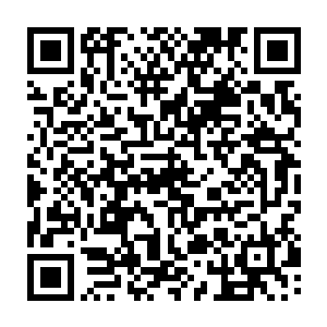 散落的人群便会在这世界上最艰困的环境中和岌岌可危的生态环境下生存下去二维码生成