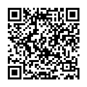 数万的强者利用各种手段对虚影神宫外的结界发动了冲击二维码生成