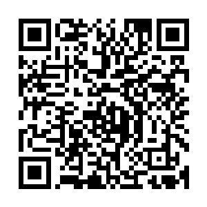 数万重获自由的羽蛇怪和少量已经变成召唤兽的强盗看守一起二维码生成