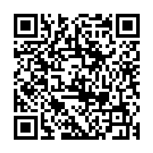 数十只特种异形和大量普通异形也和楚旬一起冲到了愤怒的面前二维码生成