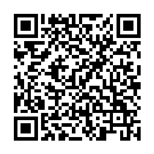 数十头巨大的黄沙巨兽围绕着这支蛮族队伍不断攻击着二维码生成