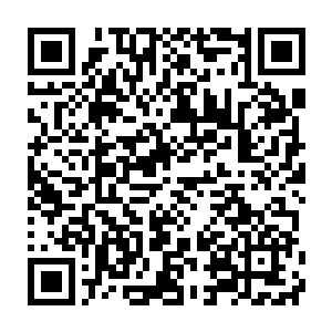 数十年后这些圣果即使是化为源液对你的修为提升也不会有多大的作用二维码生成