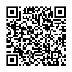 数千名修真者全部被云水生一个人给阻挡在了高塔的塔底二维码生成
