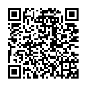 数字三是过去半个小时里荣耀至死面前停留观众人数最多的数据二维码生成