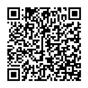 数学悖论以及光脑无法弥补的物理缺陷和计算死循环所制造出的产物……二维码生成