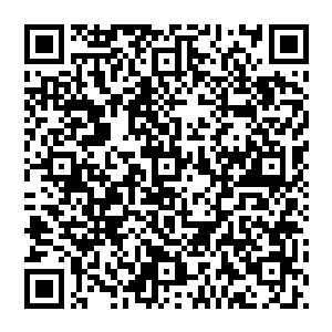 数完之前你要是还不滚出来投降……我身前的这个垃圾桶就会以每秒三百米的速度击中你那昏迷中的搭档二维码生成