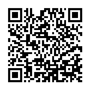 数据显示与样本具有血缘关系的载体接受信息的过程更为顺利二维码生成