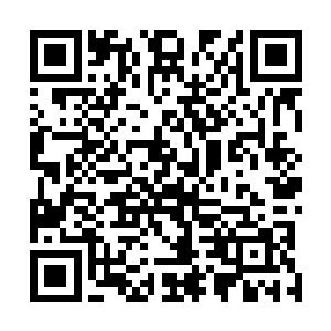 数据漩涡和思维陷阱在伏羲系统的核心数据库中丢来丢去二维码生成