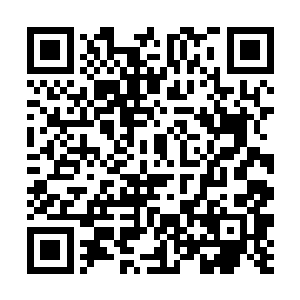 数月前我兄弟江衣和你们家的一位小姐有过一面之缘二维码生成