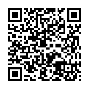 数条同等规模的水柱被王仙芝信手拈来的气机牵引二维码生成