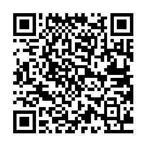 数遍大宋能完全掌控一个中县而没有任何羁绊的唯自己一人而已二维码生成