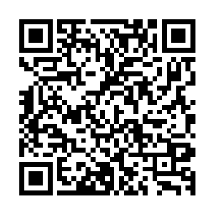 数量上的巨大差距带来的唯一结果就是他们的斥候被彻底压制二维码生成