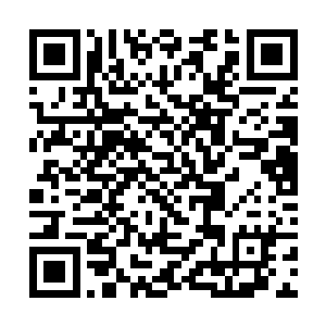 数量众多的普通丧尸向人类社会发起了有组织的反扑二维码生成