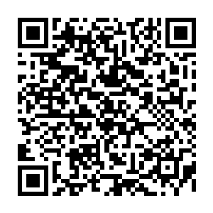 整个世界就在寂灭之后又再度重新构建完成……还曾经见过……有一条金龙二维码生成