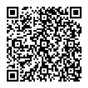 整个人也散发出一股强烈到极致的野姓的凶残……受伤……这对于爆熊洛克并不陌生二维码生成