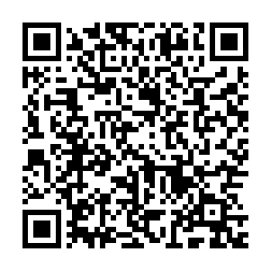 整个人界在星辰女王的掌管之下已经很久没有出现过什么大事情了二维码生成