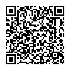 整个修真界几乎所有大大小小势力和散修都已经做出了各自的决定二维码生成