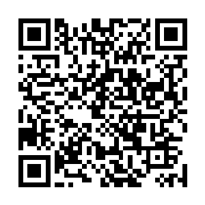 整个北地没有一个势力再敢去抢夺太玄宗在宗门之外的产业二维码生成