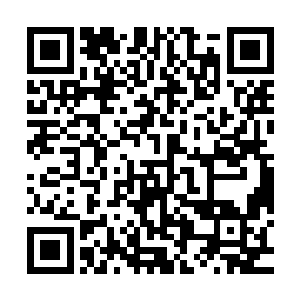 整个古武界把凌家和孙陈联盟的生死决战评定为凌家的崛起之战二维码生成