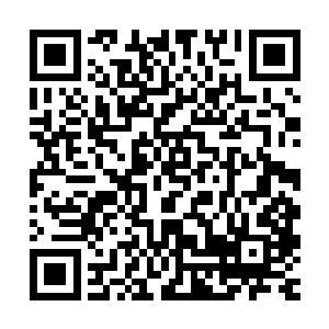 整个在场的几个乡镇书记乡镇长以及区里千部都是倒吸一口凉气二维码生成