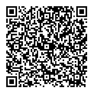 整个天空都瞬间黯淡 淹沒在一片寒冷的昏暗之中 正是如他所说 我自黑夜而來 有我的地方 只有寒冷 也唯有寒冷二维码生成