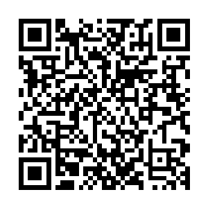 整个实验室里基本上只能听到那个小装置螺旋桨发出的嗡嗡声二维码生成