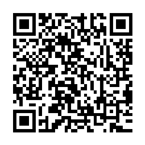 整个峡谷所有的动物全都战战兢兢的趴在了地上一动也不敢动二维码生成