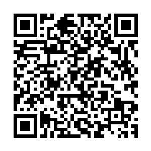 整个无尽海中的妖兽就会开始在无尽海之中开始疯狂的厮杀着二维码生成