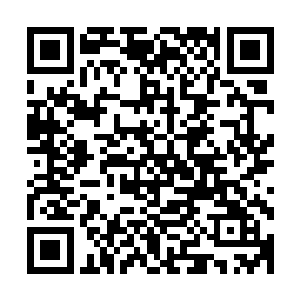 整个杰索家族里也不会有人闲的没事去找妮娜嚼舌根说这件事二维码生成