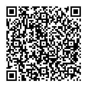 整个树族圣地之前隐匿不见的那座由一百多名植物系妖皇和一百多名飞禽系妖皇布置而成的大阵突然启动二维码生成