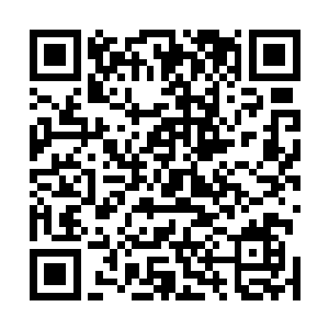 整个水行宫红莲以下的修士中恐怕再没第二人比你有把握二维码生成