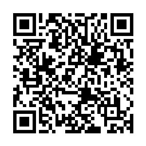 整个泡菜国的商务代表团宣布提前结束此次的峰会之旅返回国内二维码生成