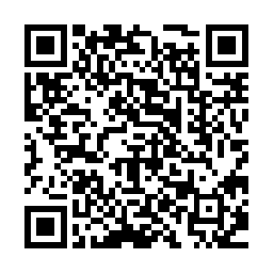 整个混沌域花大价钱寻找一位精通药理的大师过去诊断……当然二维码生成